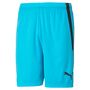 Puma teamLIGA Shorts - blau