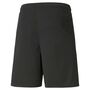 Puma teamLIGA Shorts - schwarz