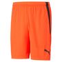 Puma teamLIGA Shorts - rot