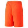 Puma teamLIGA Shorts - rot