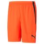 Puma teamLIGA Shorts - rot