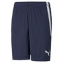 Puma teamLIGA Shorts - blau