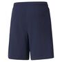 Puma teamLIGA Shorts - blau