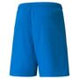 Puma teamLIGA Shorts - blau