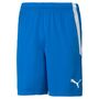 Puma teamLIGA Shorts - blau