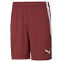 Puma teamLIGA Shorts - rot