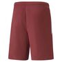 Puma teamLIGA Shorts - rot