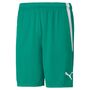 Puma teamLIGA Shorts - gr�n