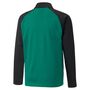 Puma teamLIGA Training Jacket Jr - gr�n