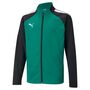 Puma teamLIGA Training Jacket Jr - gr�n