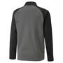 Puma teamLIGA Training Jacket Jr - grau