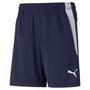 Puma teamLIGA Training Shorts Jr - blau