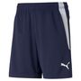 Puma teamLIGA Training Shorts Jr - blau