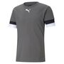 Puma teamRISE Jersey - grau