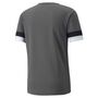Puma teamRISE Jersey - grau