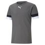 Puma teamRISE Jersey - grau