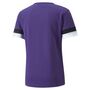 Puma teamRISE Jersey - violett