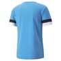 Puma teamRISE Jersey - blau