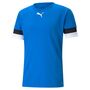 Puma teamRISE Jersey - blau
