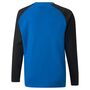 Puma teamLIGA Training Sweat Jr - blau