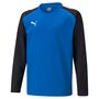 Puma teamLIGA Training Sweat Jr - blau