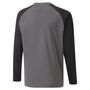Puma teamLIGA Training Sweat Jr - grau