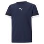 Puma teamRISE Jersey Jr - blau