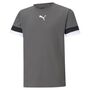 Puma teamRISE Jersey Jr - grau