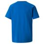 Puma teamVISION Jersey Jr - blau