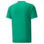 Puma teamVISION Jersey - gr�n