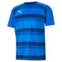 Puma teamVISION Jersey - blau