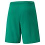 Puma teamRISE Short - gr�n