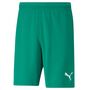 Puma teamRISE Short - gr�n
