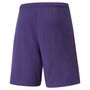 Puma teamRISE Short - violett