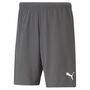 Puma teamRISE Short - grau