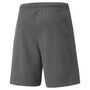 Puma teamRISE Short - grau