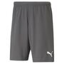 Puma teamRISE Short - grau