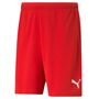 Puma teamRISE Short - rot