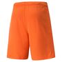 Puma teamRISE Short - orange