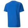 Puma teamLIGA Striped Jersey - blau