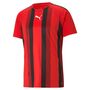 Puma teamLIGA Striped Jersey - rot