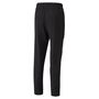 Puma teamLIGA Sideline Pants - schwarz