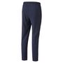 Puma teamLIGA Sideline Pants - blau
