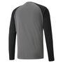 Puma teamPACER GK LS Jersey - grau