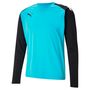 Puma teamPACER GK LS Jersey - blau
