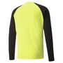 Puma teamPACER GK LS Jersey - gelb