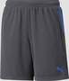 Puma Individualcup Shorts Jr - asphalt-bluemazing
