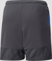 Puma Individualcup Shorts Jr - asphalt-bluemazing