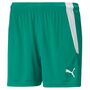 Puma teamLIGA Shorts W - gr�n