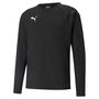 Puma teamLIGA Training Sweat - schwarz